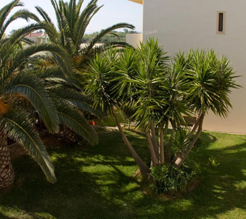 Maleme Olga Suites المظهر الخارجي الصورة
